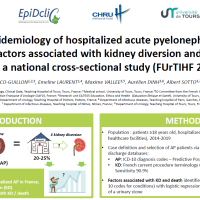  Evolution des pyélonéphrites aiguës hospitalisées en France et facteurs prédictifs de dérivation : FUrTHIF-2