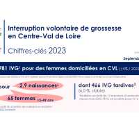 plaquette IVG 2023
