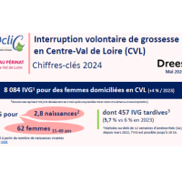 plaquette IVG 2024