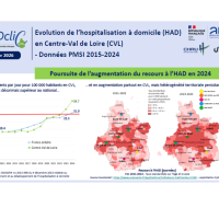 vignette poster HAD 2015-2024