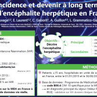 Incidence et devenir à long terme de l’encéphalite herpétique en France